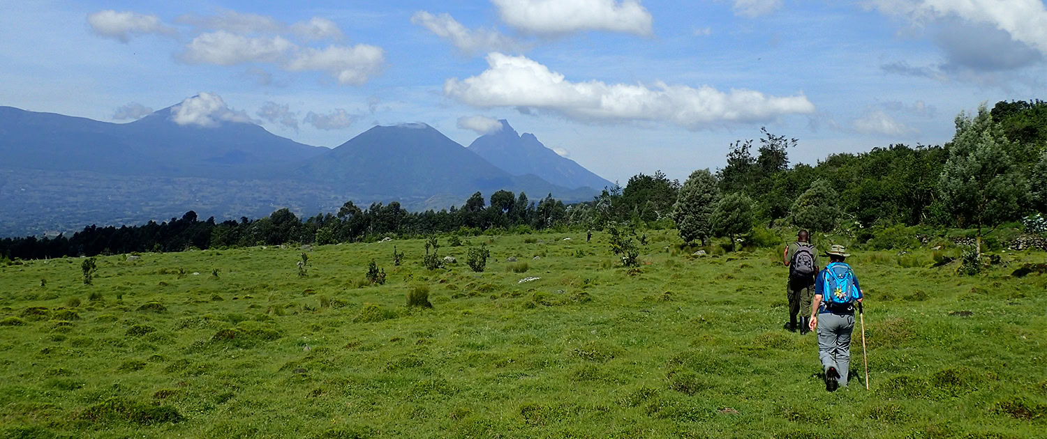 Rwanda Gorilla Trekking | Rwanda Gorilla Tour | Exotic Nature Trails