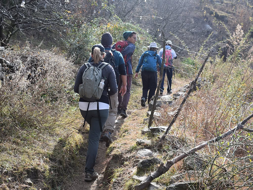 Hiking Tours in India | India Himalayas Hike | Exotic Nature Trails
